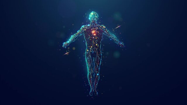 Abstract Animated Illustration of a Healthy Human Body Soaring with Glowing Blood Vessels and Pulsing Heart made of Neon Particles. 4K Looped Motion Graphic Background