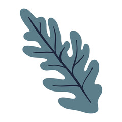 Obraz premium Seaweed Leaf