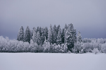 Image from rural Toten by Hoff in winter with hoarfrost.