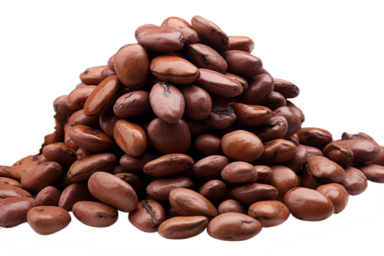 cocoa beans on a transparent background  close-up