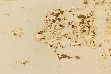 old cracked paint on a fence close-up, rust on the fence is visible because of the cracked paint. texture of old paint close-up, blank for your design