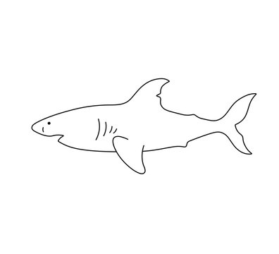 Vector isolated one single simple swimming shark side view colorless black and white contour line easy drawing