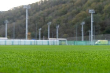 Young green grass on the football pitch. Football field. Young green grass on the football field.