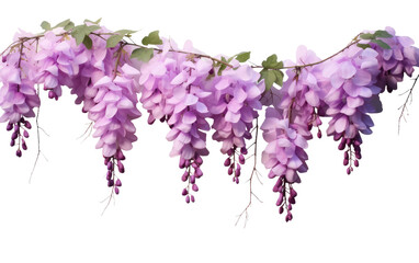 Naklejka premium A Realistic Glimpse of Whispering Wisteria on a Clear Surface or PNG Transparent Background.