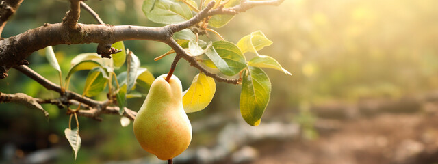 Garden pear fruits on summer branches. Generative AI,