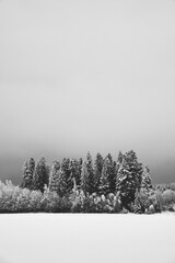 Image from rural Toten by Hoff in winter with hoarfrost.