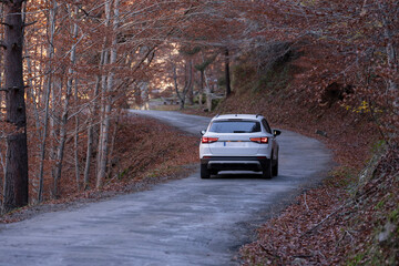 Fototapeta na wymiar Coche desde detrás en una carretera sinuosa en bosque durante el otoño