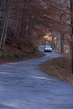 Coche desde frente acercándose desenfocado en una carretera sinuosa en bosque durante el otoño