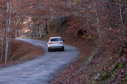 Coche desde detrás alejándose en una carretera sinuosa en bosque durante el otoño