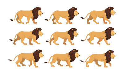 Lion Cartoon Walk Cycle Animation References High Quality Vector Illustration