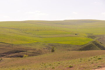 Green fields in the mountains.