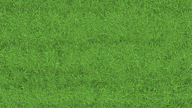 green grass natural field texture summer plant grow turf play ground 3d illustration