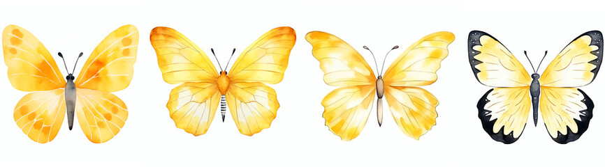 yellow watercolor aquarelle butterfly set butterflies isolated on transparent background clipart