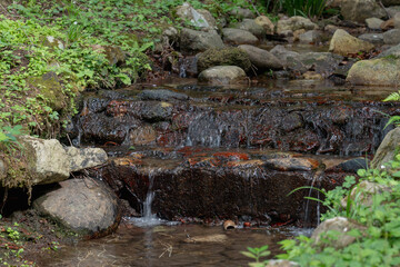 樹木公園のせせらぎ