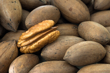 Peeled pecan nut among shelled Pecan nuts
