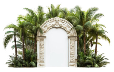 Unveiling the Realistic Image of the Palm Paradise Door in Coastal Living on a Clear Surface or PNG Transparent Background.