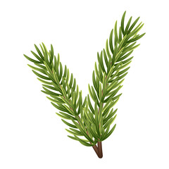 Fluffy Christmas tree branch 3D. Green pine, evergreen plant. Winter holiday element for decoration, design of banner, card, poster. Isolated Christmas tree branch on white. Vector illustration.