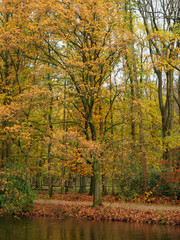 Regentag im Stadtwald von Bocholt