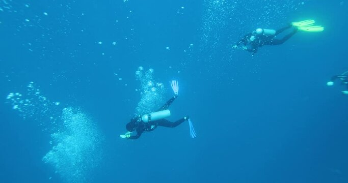 A group of divers diving towards a sunken ship in the Philippine Sea. Divers descend together around a guide rope. Divers descend into a cloud of bubbles. Summer vacation shot