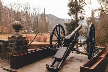 An Antique Cannon Displayed on a Rustic Wooden Table at Peles Castle