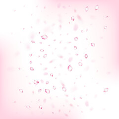 Cherry Sakura Blossom Confetti. Noble Premium Pastel Texture. Windy
