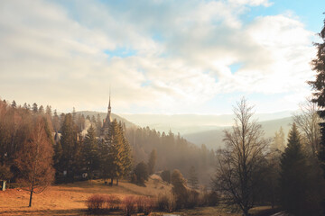 Fototapeta na wymiar Scenic Beauty: Majestic Forest and Towering Mountain at Peles Castle, Sinaia