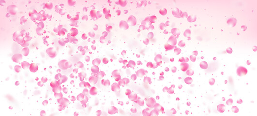Fototapeta na wymiar Rose Petals Falling Confetti. Beautiful Premium Tender Texture. Windy