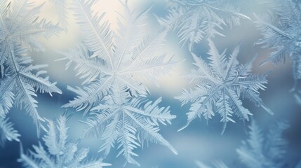Beautiful frosty winter pattern on glass with blurred background behind