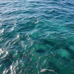 Waves on the ocean near the shoreline with rocks