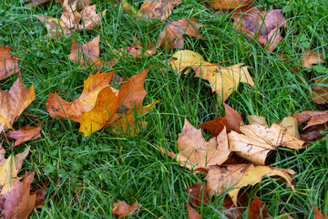 Ecology. Ecological pollution. Nature is in danger.