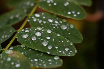 Ecology. Ecological pollution. Nature is in danger.