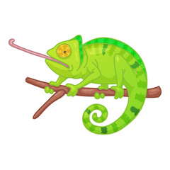 Green chameleon seated on brown branch, twig isolated on white background. Vector illustration for poster, postcard, banner, web, design, arts. Print to party, sticker, badge, flyer