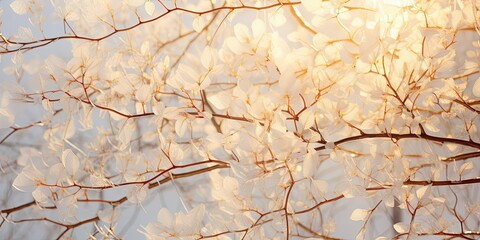 mesmerizing scene unfolds as the silhouette of snow leaves takes center stage, magnified in the warm glow of sunlight. The abstract composition captures the delicate details