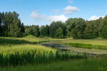 Slavyanka River Valley in the landscape part of the Pavlovsk Palace and Park Complex on a sunny...
