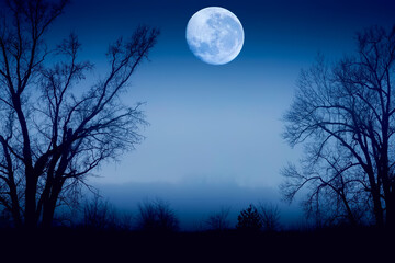 Night sky with moon and dramatic trees. Dramatic clouds in mystic moonlight. Large bright moon as...