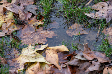 Ecology. Ecological pollution. Nature is in danger.