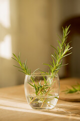 Rosemary in a transparent glass on the table on a sunny morning