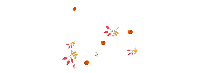 Green Pumpkin Background White Vector. Gourd Happy. Burgundy Invitation Frame. Halloween Card. Colorful Leaf Healthy Set.