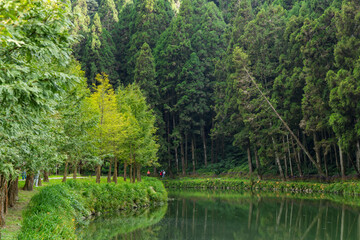 Obraz premium Beautiful view of the Sun link sea forest recreation area in Nantou, Taiwan