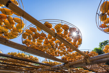 Sun dried persimmon fruit dried persimmon processing