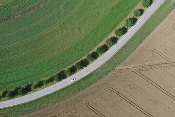 drohnenfoto landstrasse allee getreidefeld vogelperspektive - obrazy, fototapety, plakaty