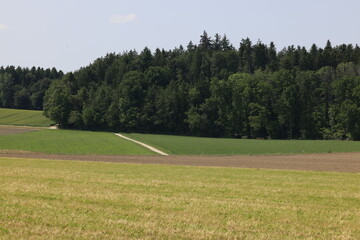 feldweg acker waldrand schweiz sommer
