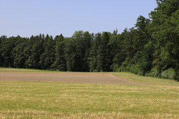 Fototapeta premium feld acker waldrand schweiz sommer