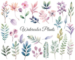 Vector plants pastel colors. Watercolor botanical set. Delicate watercolor plants for wedding invitations, posters.  © Hanna ArtLab