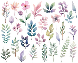 Watercolor botanical set. Delicate watercolor plants for wedding invitations, posters. Vector plants pastel colors.