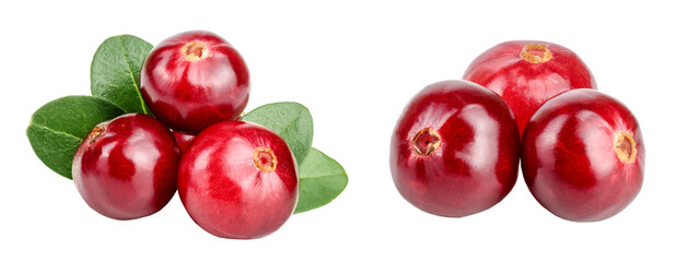 Cranberry with leaf isolated on white background closeup macro