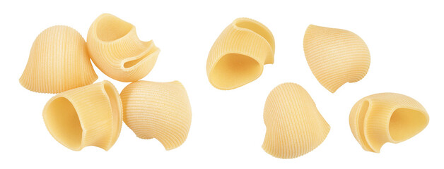 lumaconi pasta isolated on white background with full depth of field. Top view. Flat lay