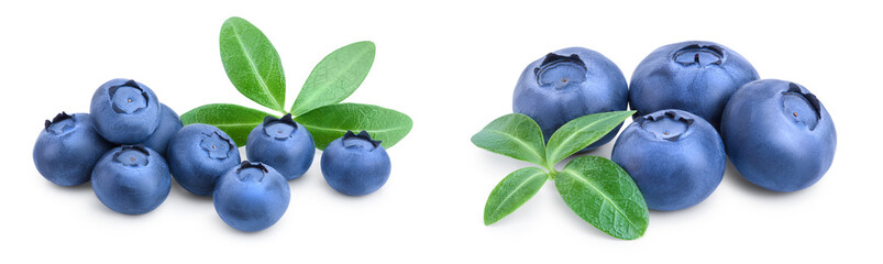 fresh blueberry with leaves isolated on white background closeup
