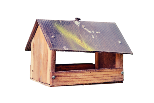 Wooden bird feeder in the form of a house in the summer forest, close-up, isolated on a white background
