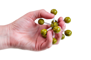 Concept of a disease-causing bacteria in the hand, isolated on a white background